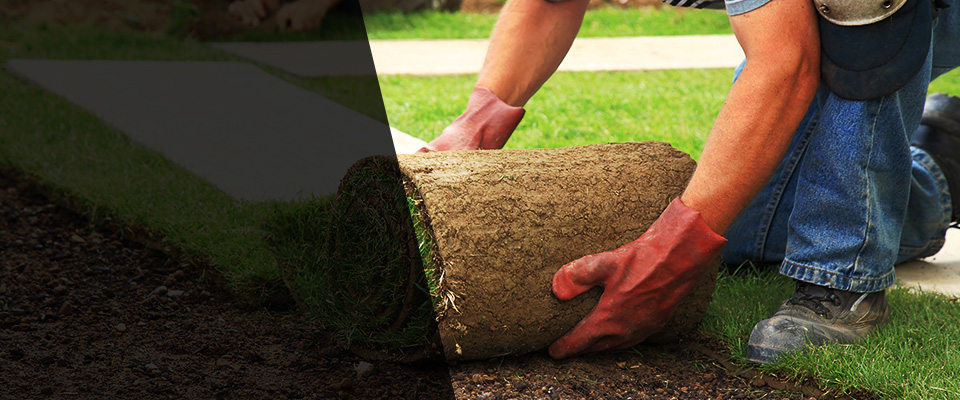 Yellow Springs Landscapers